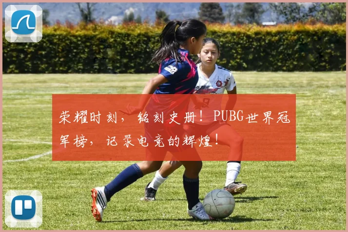 荣耀时刻，铭刻史册！PUBG世界冠军榜，记录电竞的辉煌！