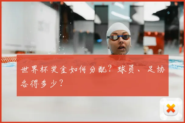 世界杯奖金如何分配？球员、足协各得多少？